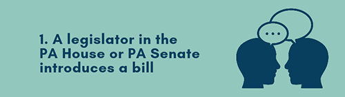 A legislator in the PA House or PA Senate introduces a bill